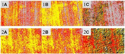 Remote Sensing for Italian Ryegrass [Lolium perenne L. ssp. multiflorum (Lam.) Husnot] Detection in Winter Wheat (Triticum aestivum L.)